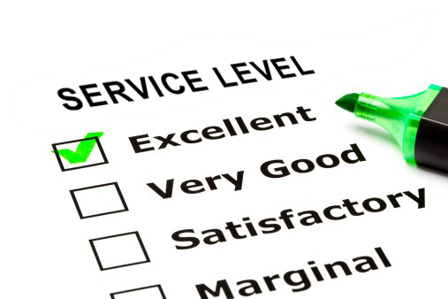 What Can Be So Difficult About Measuring Service Levels?