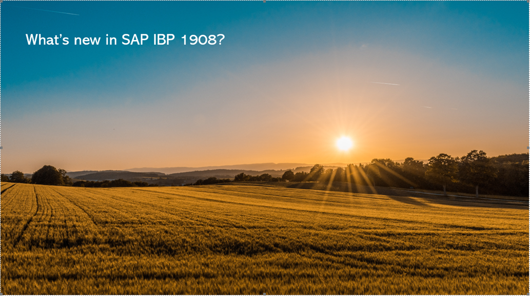 What is new in SAP IBP 1908?